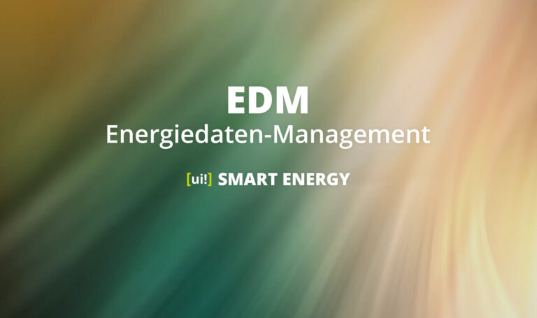 Energiedaten-Management (EDM)